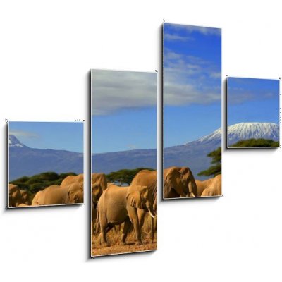 Obraz čtyřdílný 4D - 120 x 90 cm - Kilimanjaro And Elephants Kilimanjaro a sloni – Zbozi.Blesk.cz