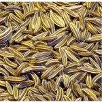 Ebies Kmín celý 50 g – Zboží Dáma