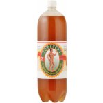 Stevikom Kombucha Green Tea 2 l – Zboží Dáma