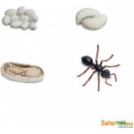 Safari Ltd. Životní cyklus Mravenec – Zboží Mobilmania
