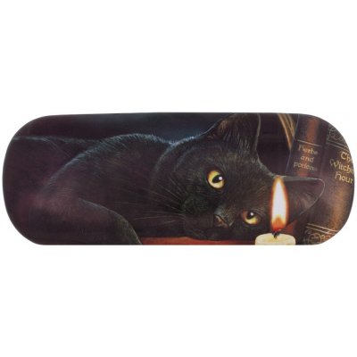 Pouzdro na brýle s kočkou a knihami - design Lisa Parker – Zbozi.Blesk.cz