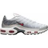 Dámské tenisky Nike W AIR MAX PLUS hm9654-001