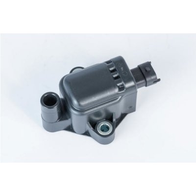 Zapalovací cívka BorgWarner (BERU) ZS593 – Hledejceny.cz
