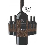 Feudi Salentini 125 Primitivo del Salento 2024 12,5% 6 x 0,75 l (holá láhev) – Hledejceny.cz