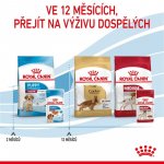 Royal Canin Puppy Medium 10 x 140 g – Zboží Mobilmania