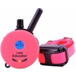 E-Collar Mini Educator ET-300 – Sleviste.cz