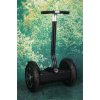 Gyroboard NATUR-RIDE PT-City