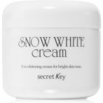 Secret Key Snow White zesvětlující krém pro rozjasnění pleti 50 g – Zboží Dáma
