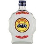 R. Jelínek Slivovice 3y 45% 0,5 l (holá láhev) – Hledejceny.cz