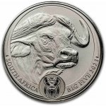 South African Mint Big Five Buffalo2023 Jižní Afrika 1 oz – Hledejceny.cz