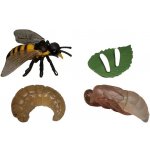 Animal Life figurky životní cyklus Včela – Zboží Mobilmania