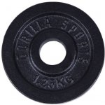 Gorilla Sports litinová zátěžová deska , 1,25 kg – Zboží Mobilmania