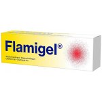 Flamigel hydrokoloid. gel na hojení ran 250 ml – Zboží Dáma
