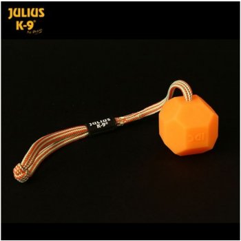 Julius-K9 IDC Fluorescenční míč na laně 60 mm