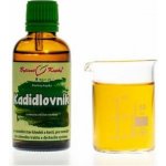 Bylinné kapky Kadidlovník pilovitý 50 ml – Hledejceny.cz
