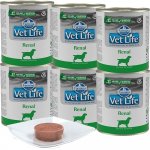 Vet Life Natural Dog Renal 300 g – Hledejceny.cz
