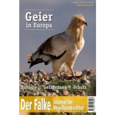 Geier in Europa