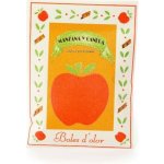 Boles d´olor Vonný sáček kapesní malý papírový 5,5 x 7,5 x 0,3 cm Manzana y Canela – Hledejceny.cz