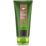 Salerm Biokera maska proti lupům 200 ml – Zbozi.Blesk.cz