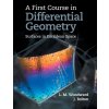 Kniha A First Course in Differential Geometry: Surfaces in Euclidean Space - Woodward Lyndon