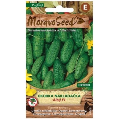 MoravoSeed CZ a.s. MoravoSeed Okurka nakládačka ALTAJ F1 – Zboží Mobilmania