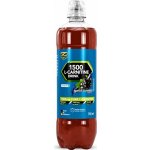 Z Konzept 1500 L-Carnitine drink 750 ml – Hledejceny.cz