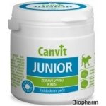 Canvit Junior Maxi ochucené 230 g – Zboží Mobilmania