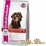 Eukanuba Labrador Retriever 2,5 kg – Hledejceny.cz