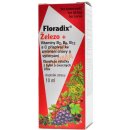 Salus Floradix 10 ml