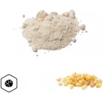 LifeChi Kadidlovník pilovitý Boswellia serrata extrakt v prášku 95% kyselina boswellová 50 g – Hledejceny.cz