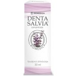 Denta Salvia concentrate šalvějová 50 ml – Zboží Mobilmania
