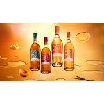 Glenmorangie The Lasanta 15y 43% 0,7 l (karton) – Zboží Dáma
