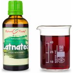 Bylinné kapky Latnatec tinktura 50 ml – Hledejceny.cz