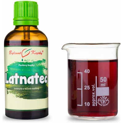 Bylinné kapky Latnatec tinktura 50 ml – Hledejceny.cz