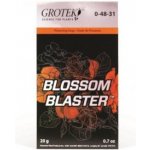 Grotek Blossom Blaster 20 g – Hledejceny.cz