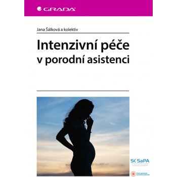 Intenzivní péče v porodní asistenci