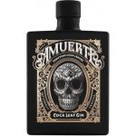 Amuerte Coca Leaf Gin 43% 0,7 l (holá láhev) – Zboží Dáma