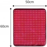Red Light Therapy Mat podložka pro regeneraci 6 rozměrů Model D 50 cm x 60 cm – Sleviste.cz