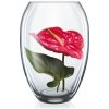 Váza Crystalex Skleněná váza OVUM 180 mm