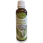 Serafin tinktura z bylin Medvědí česnek Wild garlic 50 ml – Hledejceny.cz