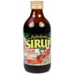 Dr. Bojda Bylinkový sirup Jitrocel+Echinacea extra silný s medem medem a vitamínem C 325 g – Hledejceny.cz