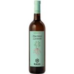 Martínez Lacuesta: Verdejo 2024 0,75 l (holá láhev) – Hledejceny.cz