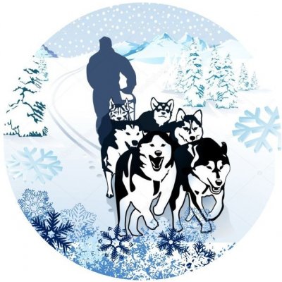 Emblém barevný EM442 psí spřežení Mushing – Zboží Dáma