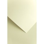 Galeria Papieru ozdobný papír Sawanna ivory 200g 20ks – Zboží Dáma