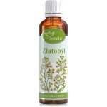 Serafin byliny Zlatobýl tinktura z bylin 50 ml – Hledejceny.cz
