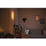 Philips 40902/31/P9 – Zboží Dáma