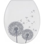 Wenko Astera 22409100 – Zboží Dáma