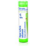 HEPAR SULFURIS CALCAREUM POR 5CH GRA 4G – Hledejceny.cz