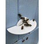 Pokorný Česnový uzávěr s letákem průměr očka 25 mm, Barva okrová – Zboží Dáma