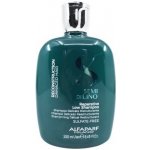 Alfaparf Semi di Lino Hair Shampoo na poškozené 250 ml – Hledejceny.cz